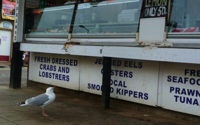 Unlocking Lead Generation: Essential Strategies for Maximum Online Impact